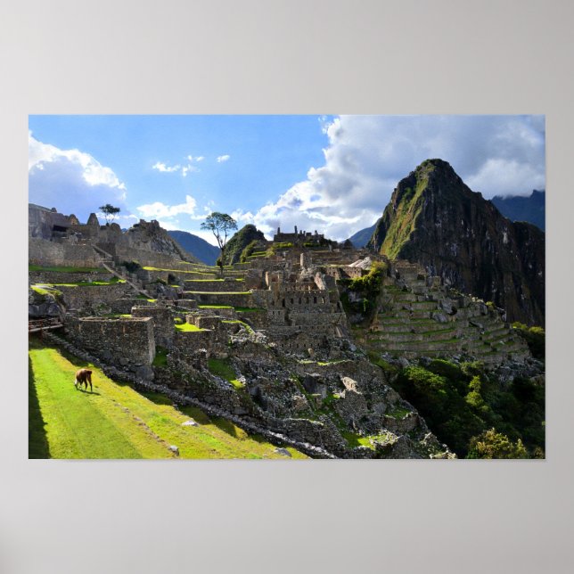 Machu Picchu Eftermiddag Poster (Framsidan)