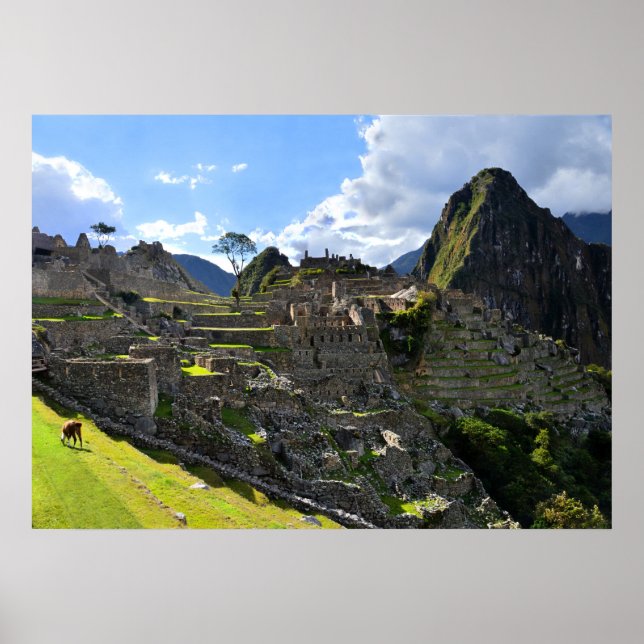 Machu Picchu i eftermiddag, Peru Poster (Framsidan)