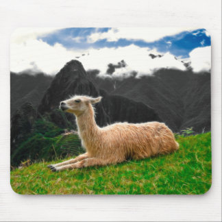 Machu Picchu Llama - Mousepad Musmatta