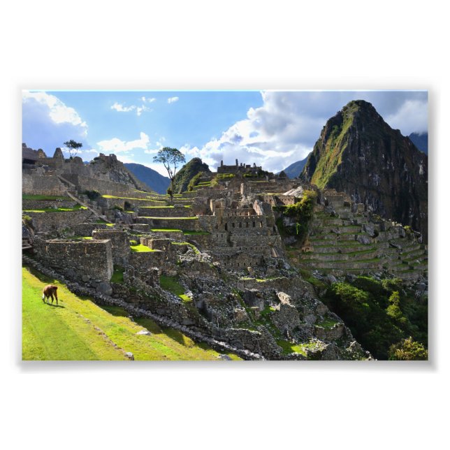 Machu Picchu, Peru, eftermiddag Fototryck (Framsidan)
