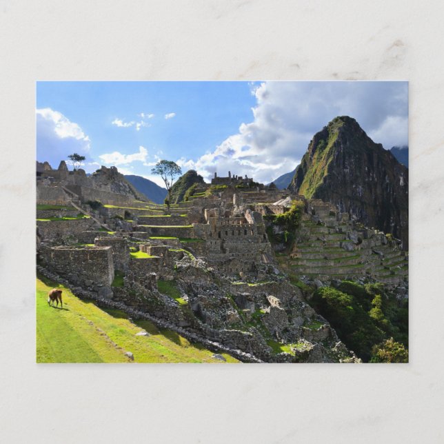 Machu Picchu, Peru, eftermiddag Vykort (Framsida)