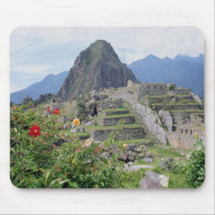 Machu Picchu, Peru Musmatta