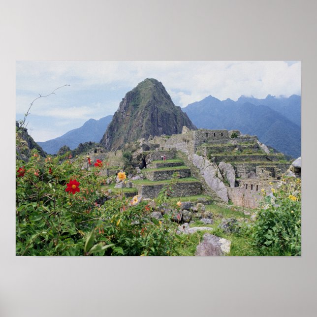 Machu Picchu, Peru Poster (Framsidan)