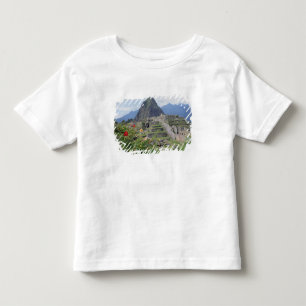 Machu Picchu, Peru T Shirt