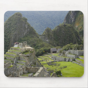 Machu Picchu, ruiner av Inca-staden, Peru. 2 Musmatta