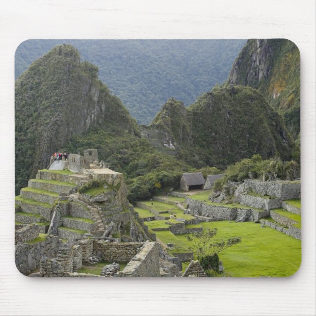 Machu Picchu, ruiner av Inca-staden, Peru. 2 Musmatta (Framsidan)