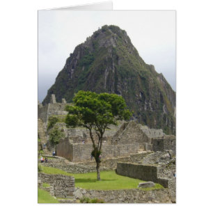 machu picchu träd hälsningskort