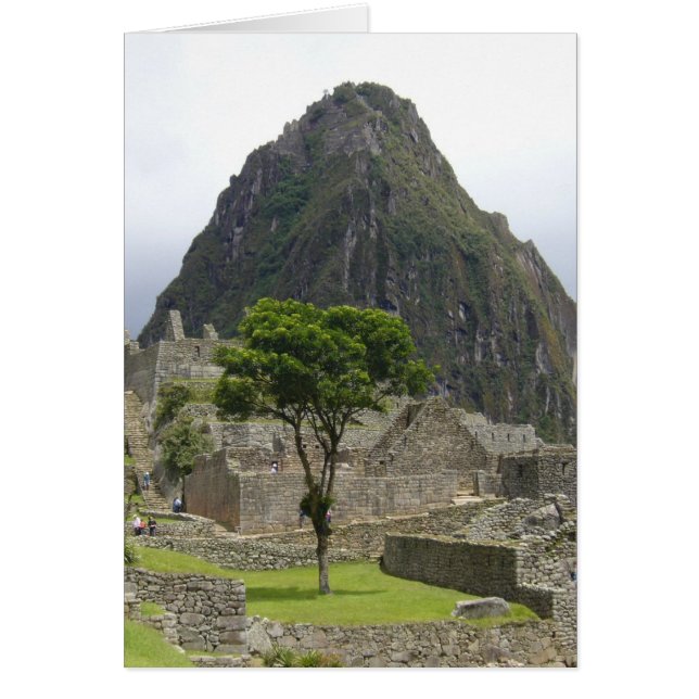 machu picchu träd hälsningskort (Framsidan)