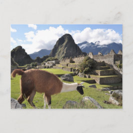 Machu Picchu Vykort