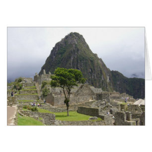 machu träd hälsningskort