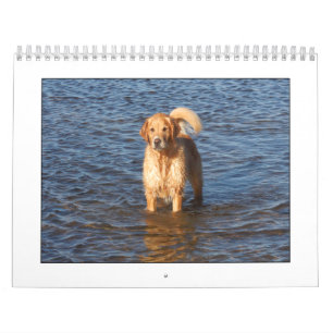 Mack kalender 2009