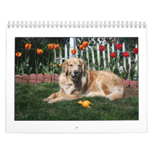 Mack och vänner 2011 kalender