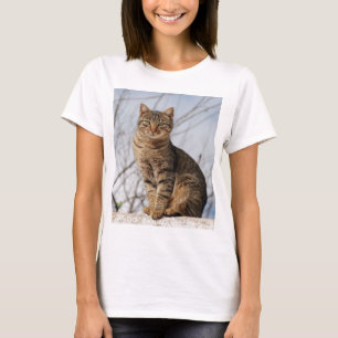 Mackerel Tabby katt Women's T-Shirt