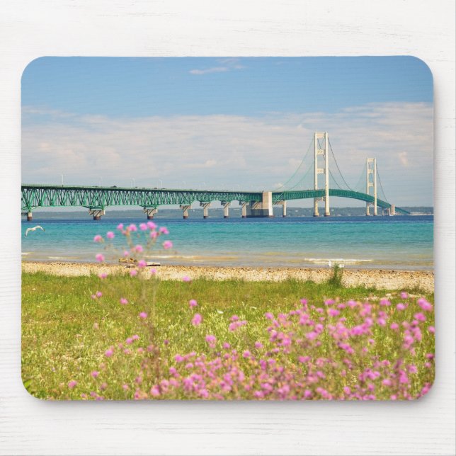 Mackinac Bridge "Big Mac" Musmatta (Framsidan)