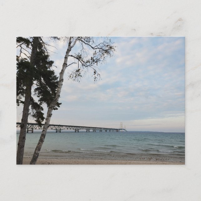 Mackinac Bridge, Michigan Vykort (Framsida)