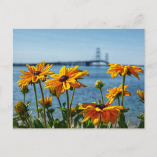 Mackinac Bridge Svarta ögon Vykort