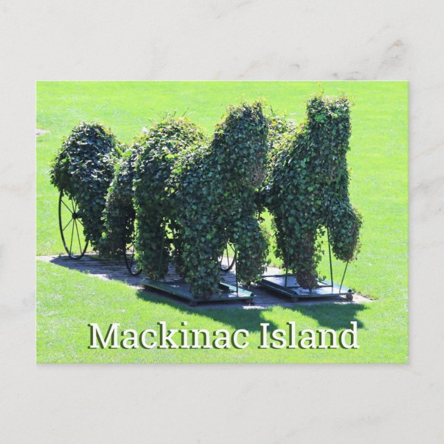 Mackinac Island Michigan vykort (Framsida)