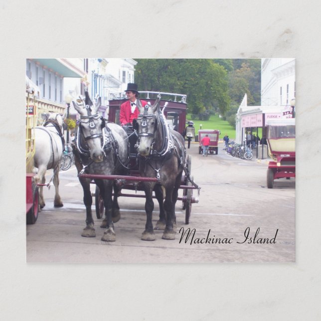 Mackinac Island Series Vykort (Framsida)