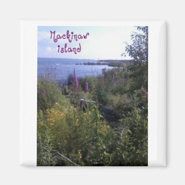 Mackinaw Island Magnet (Framsidan)
