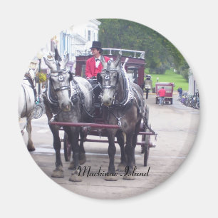 Mackinaw öserie magnet