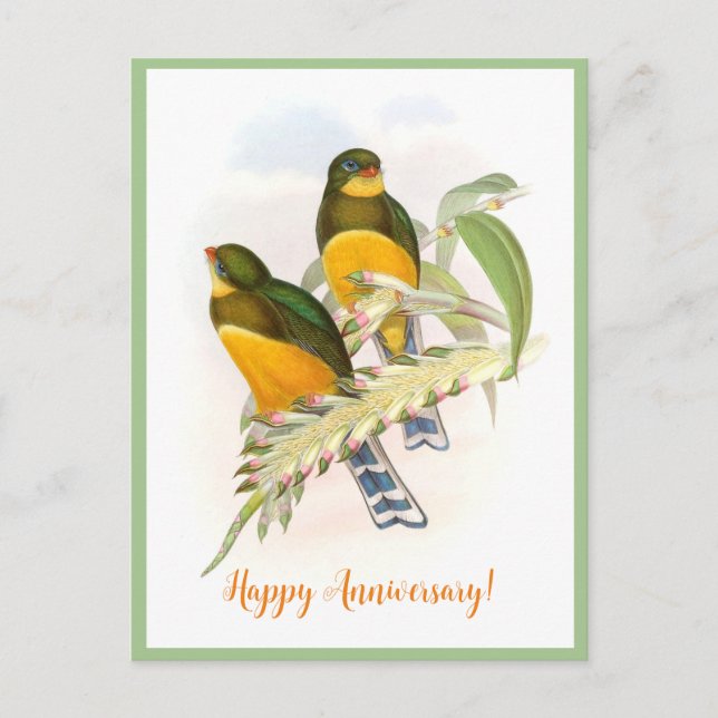 Macklots trogon (1850-1883)  vykort (Framsida)