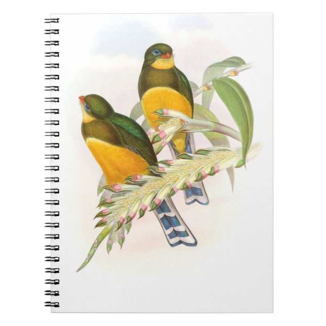 Macklot's Trogon Anteckningsbok (Framsidan)