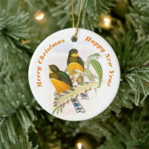 Macklot's Trogon, Träd Ornament