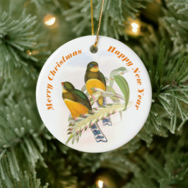 Macklot's Trogon, Träd Ornament