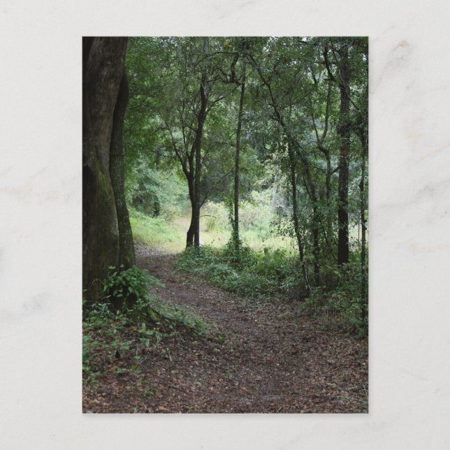 Maclay trädgårdar vykort (Framsida)