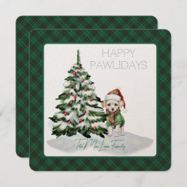 MacLean Hunting Ancient Tartan Lycklig Pawlidays