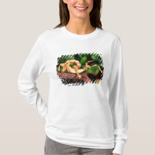 Macleays spöke (taggpinneväxt), tee shirt