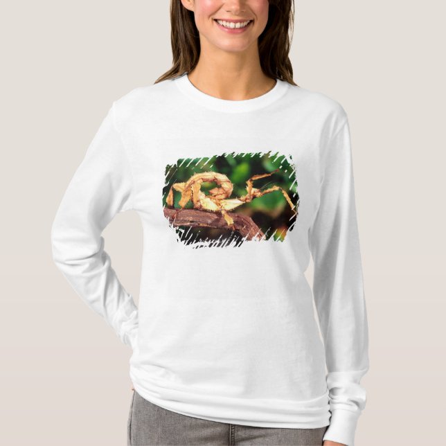 Macleays spöke (taggpinneväxt), tee shirt (Framsida)