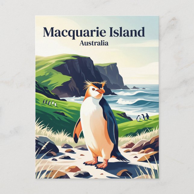 Macquarie Island Australien Vykort (Framsida)