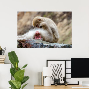 Macque Monkey, Bra Life Poster