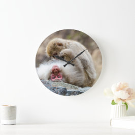 Macque Monkey, japansk djurfoto Stor Klocka