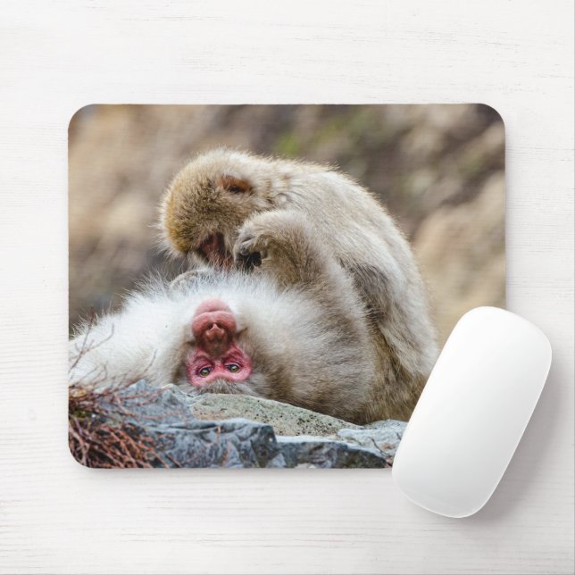 Macque Monkey, njutning av Bra Life Musmatta (Med mus)