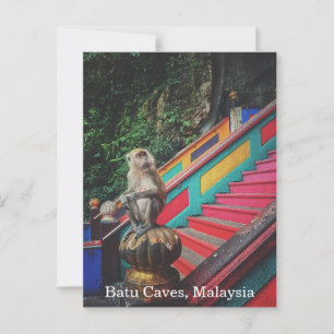 Macque Monkey vid Batu Caves, Malaysia Travel Vykort