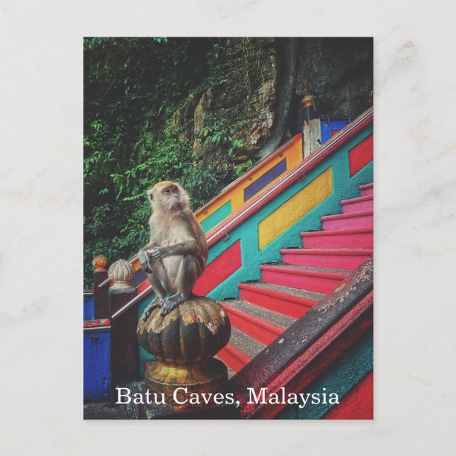 Macque Monkey vid Batu Caves, Malaysia Travel Vykort (Framsida)