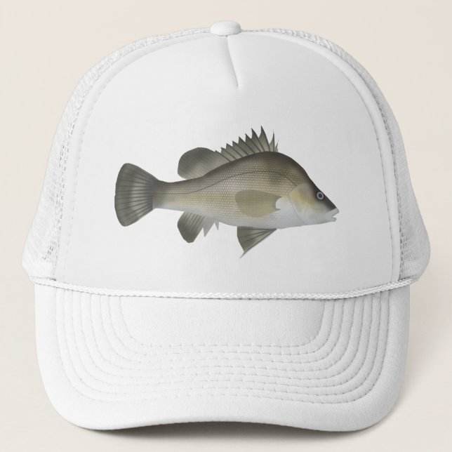 Macqurie Perch Keps (Framsida)