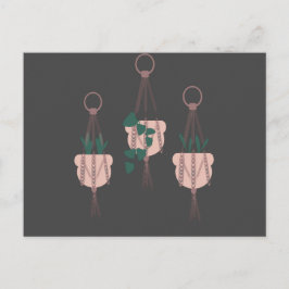 Macramé växt hängare kruka illustration vykort