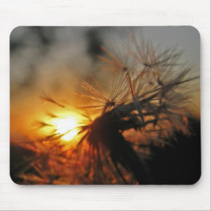Macro Dandelion Sunset Mousepad Musmatta