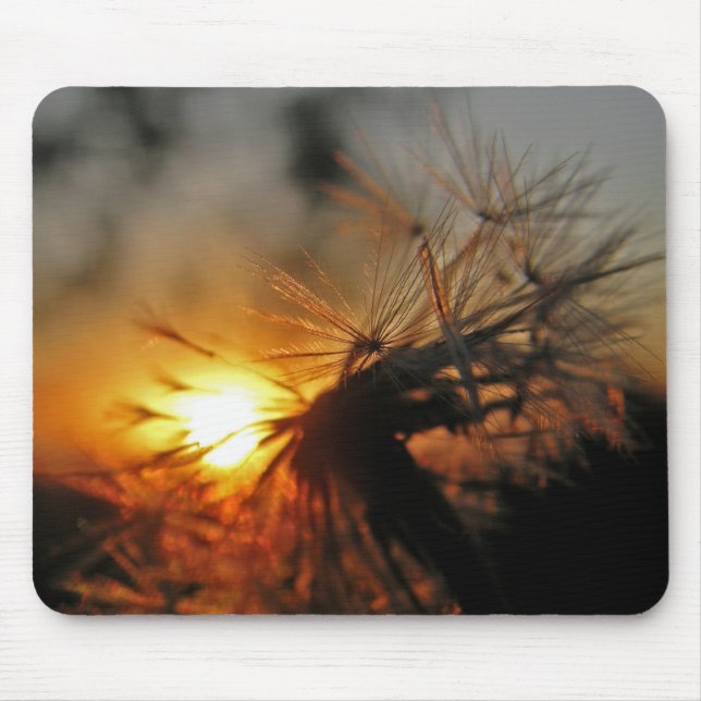 Macro Dandelion Sunset Mousepad Musmatta (Framsidan)