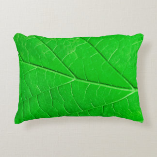 Macro green leaf ecology plant background prydnadskudde