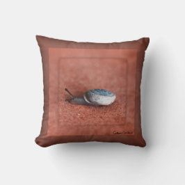 Macro Photograph of Snail on Terracotta Kudde