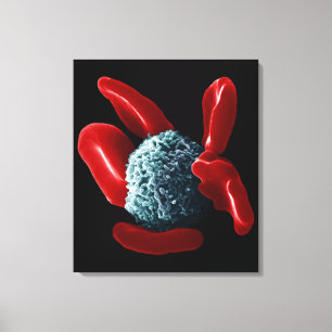Macrophage Canvastryck