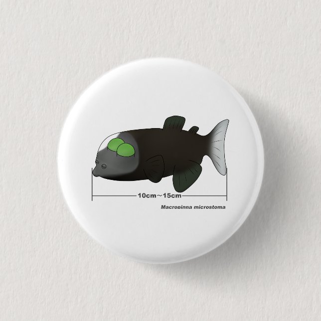 Macropinna microstoma actual size knapp (Framsida)