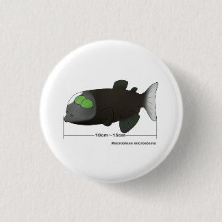 Macropinna microstoma actual size knapp