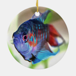 Macropodus opercularis julgransprydnad keramik