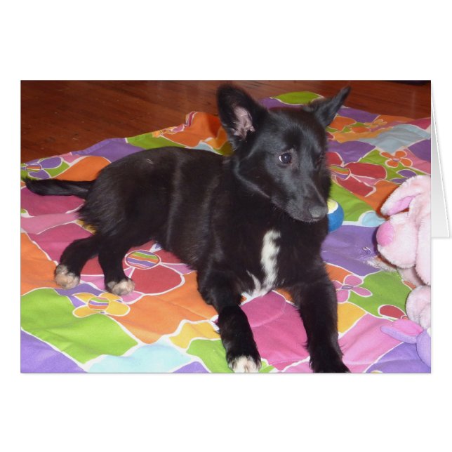 Macy Hälsningskort (Framsidan Horizontal)