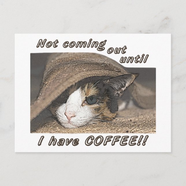 Macy vill att kaffe ska vara för kort (Framsida)